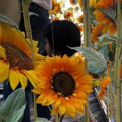 gegegeyuyuhi1's profile picture. 15年程勤めた元保育士。旅が好き！モアイ好き！海が好き！爬虫類がすき！楽しい事珍しいモノ好き！ハーフの超可愛い我が子たちといろんなとこに行きた〜い。 ずっとくすぶってた気持ちをここでぶちまけるぞー