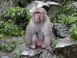 eteko1919's profile picture. 裏垢デビューしました。
いろいろ教えてください。
アラフォー オナニストです。