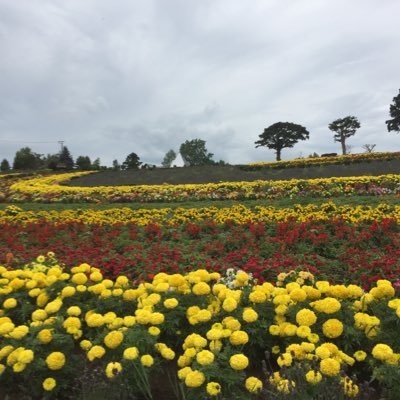 okky_eng's profile picture. 最近は☁️をよく触ってます。※発言は個人の意見であり、組織を代表するものではありません。