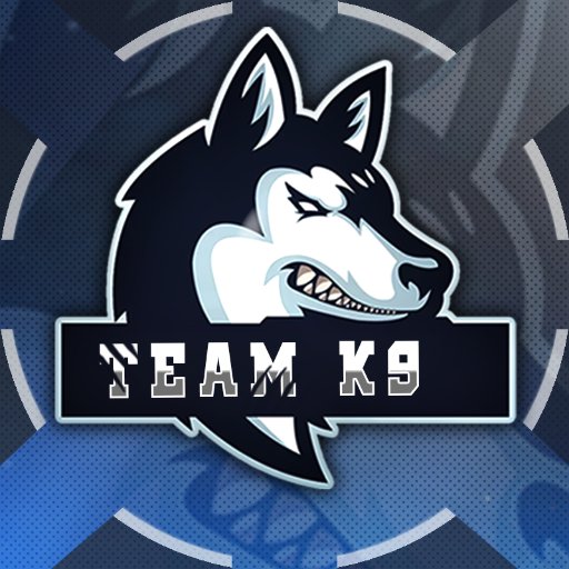 Fortnite Organisation In The Making • Email: teamk9business@gmail.com •