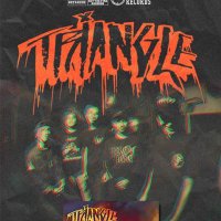 Triangle (@trianglehc) 's Twitter Profile
