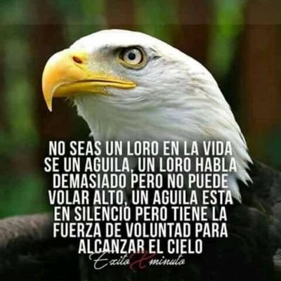 Eddyguevar's profile picture. 