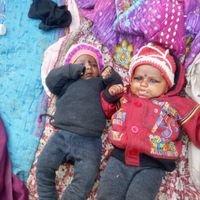 Sudhir Raj (@sudhirr17668667) 's Twitter Profile