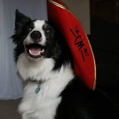 captainrebus's profile picture. Started blog writing and now I am finally doing something with my children's novel I wrote.
#writingcommunity #captainrebus Member of #SCBWI