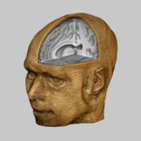 Hans Op de Beeck (@hans_opdebeeck) 's Twitter Profile Photo