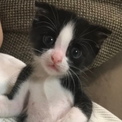 はくまいさんのプロフィール画像