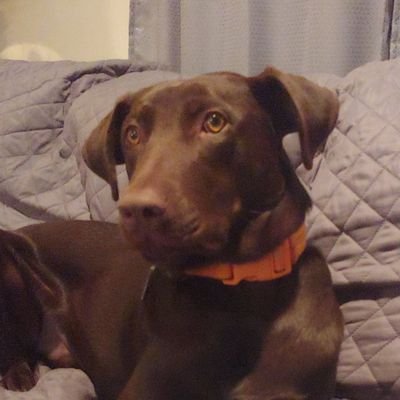 Brows's profile picture. hahaha