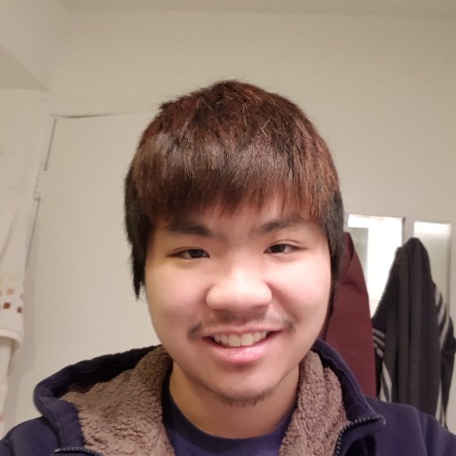 Senior Game Design student at DePaul University - 2D/3D animator -Devoted RTS,RTT and Strategy fan from Malaysia