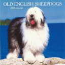 Marcel LeBlanc - @MarcelL80306823 - Twitter