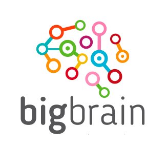 BigBrainLatam's profile picture. Estrategia y planificación de campañas electorales. Comunicación de Gobierno. Políticas y capacitaciones públicas.
🇦🇷🇨🇴🇲🇽🇵🇾🇵🇪🇪🇨