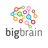 BigBrainLatam's profile image