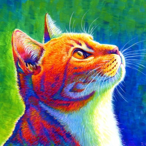 Colorful pet portraits and animal paintings.
Prints: https://t.co/mH0pK2PrL6
IG: https://t.co/nppzXeR0cC