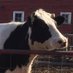 Alberta Food (@alberta_food) Twitter profile photo Alberta Food (@alberta_food) Twitter profile photo