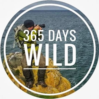 Can you stay a little bit wild, every day? Follow & tag #365DaysWild for 🔄 & ❤️