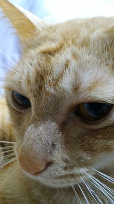 kudamono1216's profile picture. ...