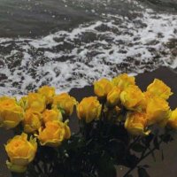 cx.ll (@ll_xxh) 's Twitter Profile