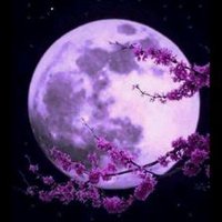 👑kooky👑Queen 👑 (@kooky01773071) 's Twitter Profile