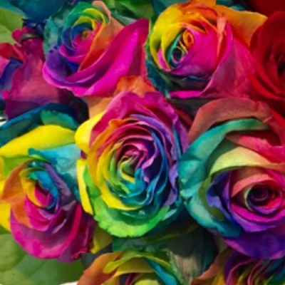 84_YU_STY's profile picture. 