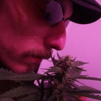 DigitalGreenery (@digitalgreenery) 's Twitter Profile