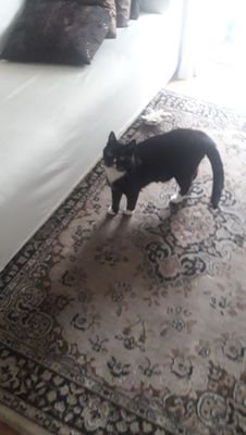 MartaMartuca1's profile picture. 