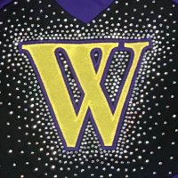 Wauconda Cheer (@wauconda_cheer) 's Twitter Profile