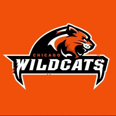Est 2017! We are a Team in The Simulation Football League — The Chicago Wildcats want you! Come join the pack!! @simulationfl #weroarasone #SFL @chicagowildcats