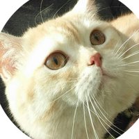 Orhan Yasemen (@yasemen28112702) Twitter profile photo