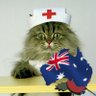 DancingKitty4's profile picture. Retired Nurse married to a Vietnam Veteran
We are all Australians - We are all equal
Ready to take back Australia!