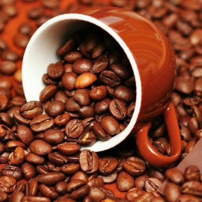 Home Barista / coffee lover ☕️🤍 / posting my daily coffee @urbangrind1