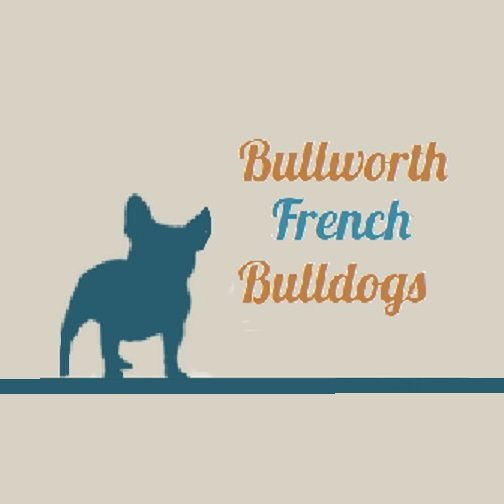 Breeder of Superior Quality French Bulldogs puppies for Show and Pet since 1995.  Call us at (713) 504-0800​ or email BullworthFrenchies@Gmail.com