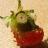 matt_UV's profile image