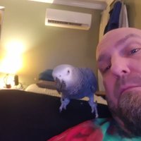 David Blick (@blickys69) 's Twitter Profile