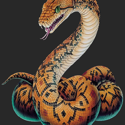 python2010's profile image