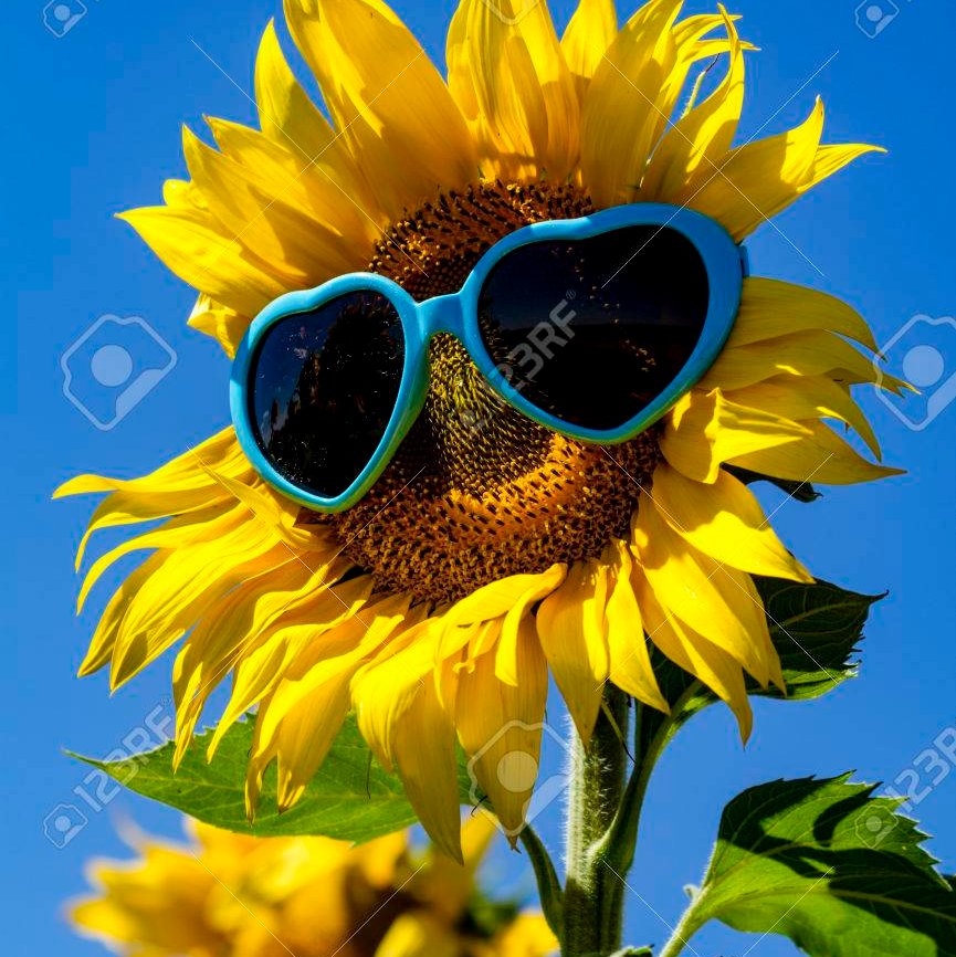 MonSala2's profile picture.