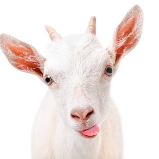 ikweethetnietnu's profile picture. 