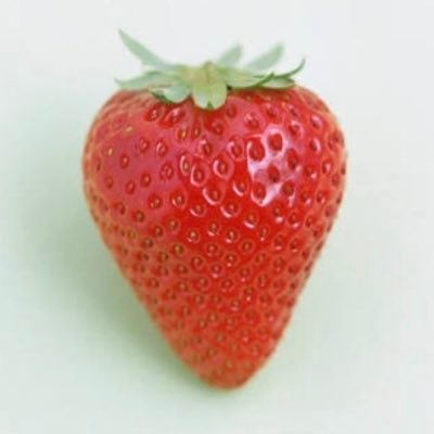 YRs1iN7ThQGyZ8z's profile picture. 