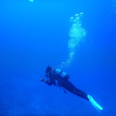 旅。歌。音楽。 唄うたい。響く声が好き。ゆるり流れる時間が好き。 ウクレレはじめますた。どう音楽といきるか。どう理科と生きるか。共生。潜りはじめますた。