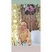 Nadya Fitria (@pitiadodol) Twitter profile photo Nadya Fitria (@pitiadodol) Twitter profile photo