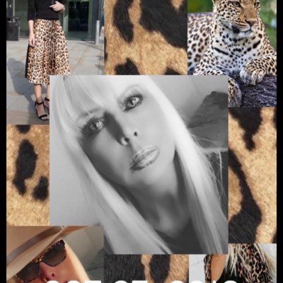 SusanHanrahan7's profile picture. I’m CEO hanrahan Ent R image agy, many divisions I created, I’m producer, author, director, publisher, model co growing