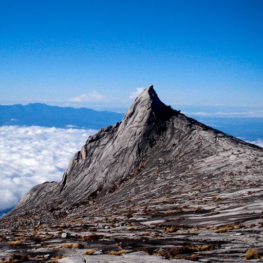 jai7559's profile picture. 