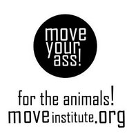 move institute (@move_institute) 's Twitter Profile