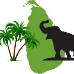 wildhideout's profile picture. wildhideout sri lanka