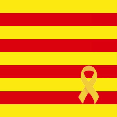 Informatie over wat er werkelijk in Spanje gaande is. #nopoliticalprisonersinourEU 🎗️💛