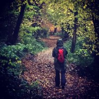 HushHikes (@hikeshush) 's Twitter Profile