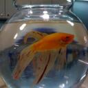 Ray Clifton - @RayClifton - Twitter