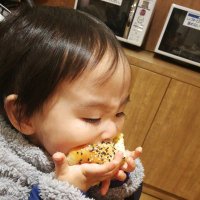∠かぜ☆暁！神vs神！ (@kamokutori) Twitter profile photo