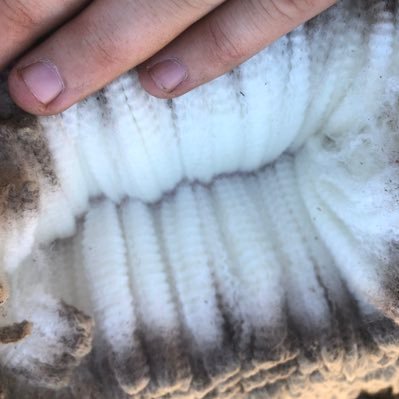 sparton113's profile picture. the hard work we hated as kids made us who we are today