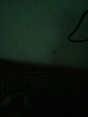 KomlaWuaku's profile picture. avid reader