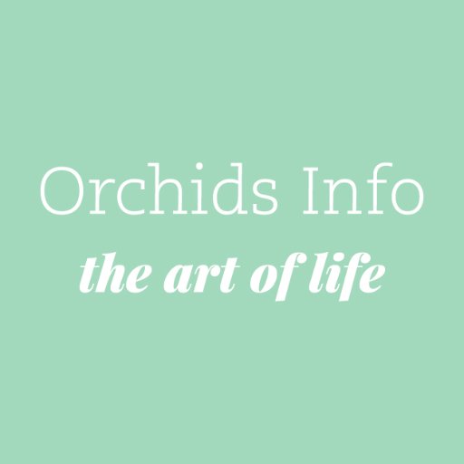 Welcome to Orchids Info, the platform for inspiration and ideas with Orchids! For more information please visit - https://t.co/HUxPddVqhC