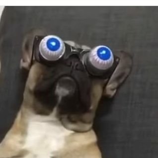 edson8alves's profile picture. Vou ali e só volto quando vier..